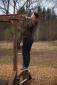 Wooden Fitness Body Power